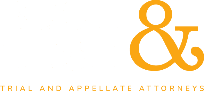 Bush & Bush